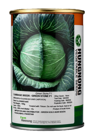Green Stone F1 Hybrid Cabbage Seed 100g Tin