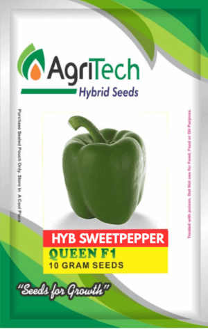 Queen F1 Hybrid Sweet Pepper Packet-Agritech