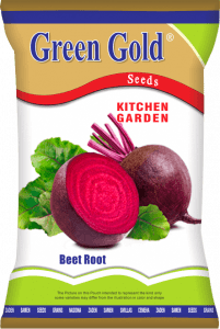 Beet Root (chukandar) Kitchen Garden