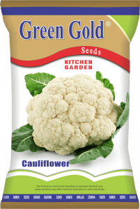 Cauliflower Kitchen Garden
