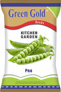 Pea Kitchen Garden