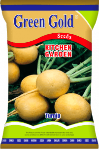 Turnip Yellow Kitchen Garden