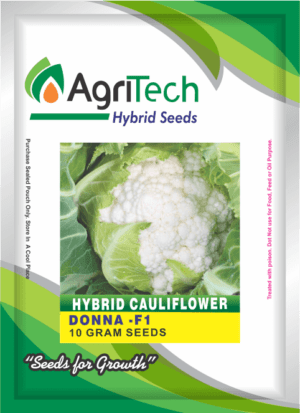 Donna F1 Hybrid Cauliflower-Agritech