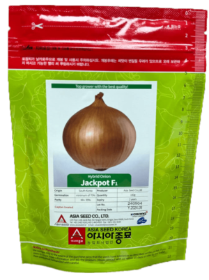 Jackpot F1-Hybrid Onion Seed-Asia Seed