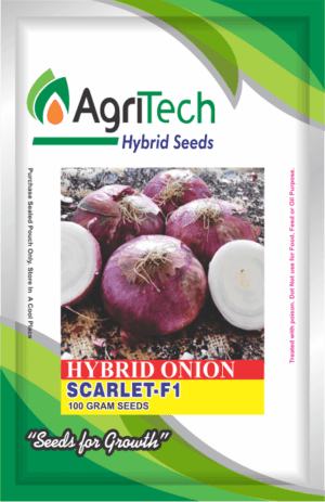 Scarlet F1-Hybrid Onion Seeds-AgriTech