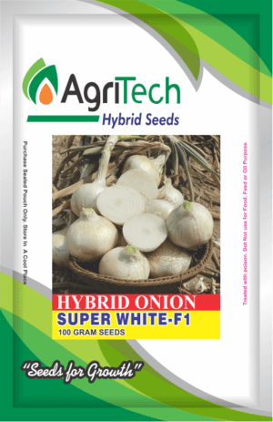 Super White F1-Hybrid Onion Seed-AgriTech