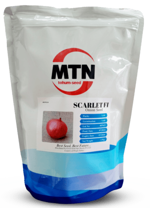Hybrid Onion Scarlet F1-Onion Seed 1kg-MTN tohum