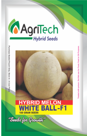 White Ball F1 Hybrid Melon Seeds