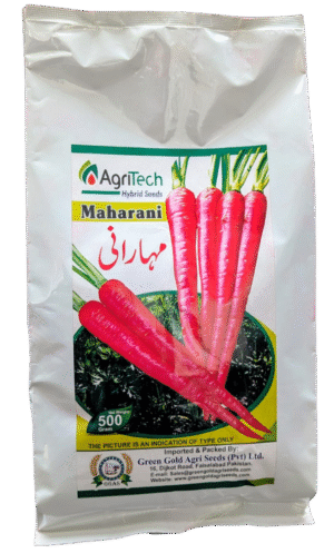 Maharani Carrot Agri Seed 500g