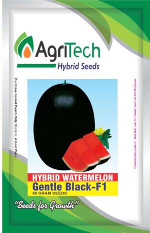 Gentle Black F1 Hybrid Water Melon Seeds
