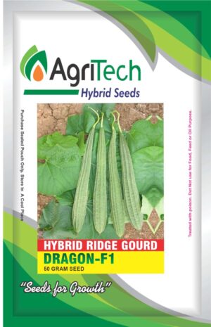 Dragon F1 Hybrid Ridge gourd-Agritech