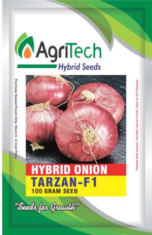 Tarzan F1-Hybrid Onion Seed-AgriTech