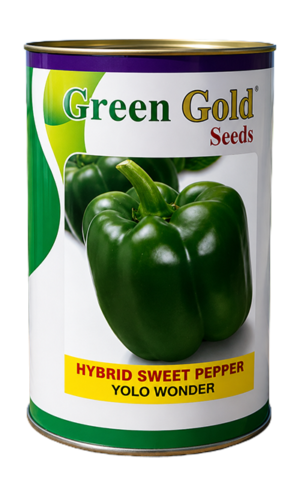 Yolo Wonder Sweet Pepper Seed Green Gold