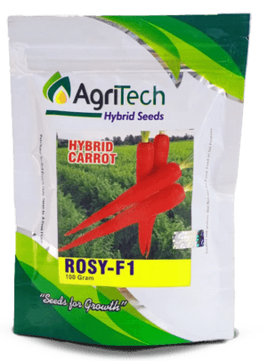 Rosy F1 Carrot Seed -Agritech
