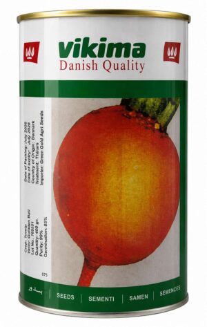 turnip(shalgam) Yellow Seed Vikima