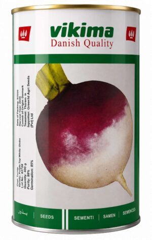 Turnip Purple Top White Globe Seed Vikima-Denmark