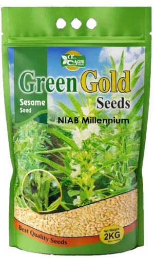Niab Millinum Sesame 2kg Packing Seed Green Gold