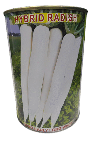 Mino Early Long Hybrid Radish Seed Agritech