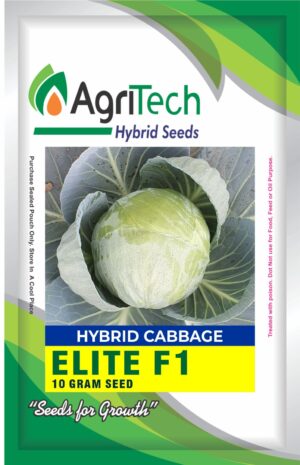 Elite F1 Hybrid Cabbage Seed-Agritech