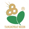 Tanlocphat Seeds