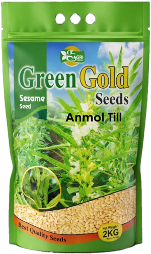 Anmol Till Sesame Seed 2kg Green Gold