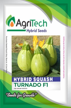 Turnado F1 Hybrid Squash(Tindi)-Agritech