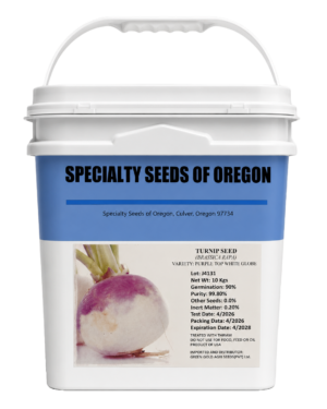 Turnip(shalgam) Purple Specialty Seed  10 kg
