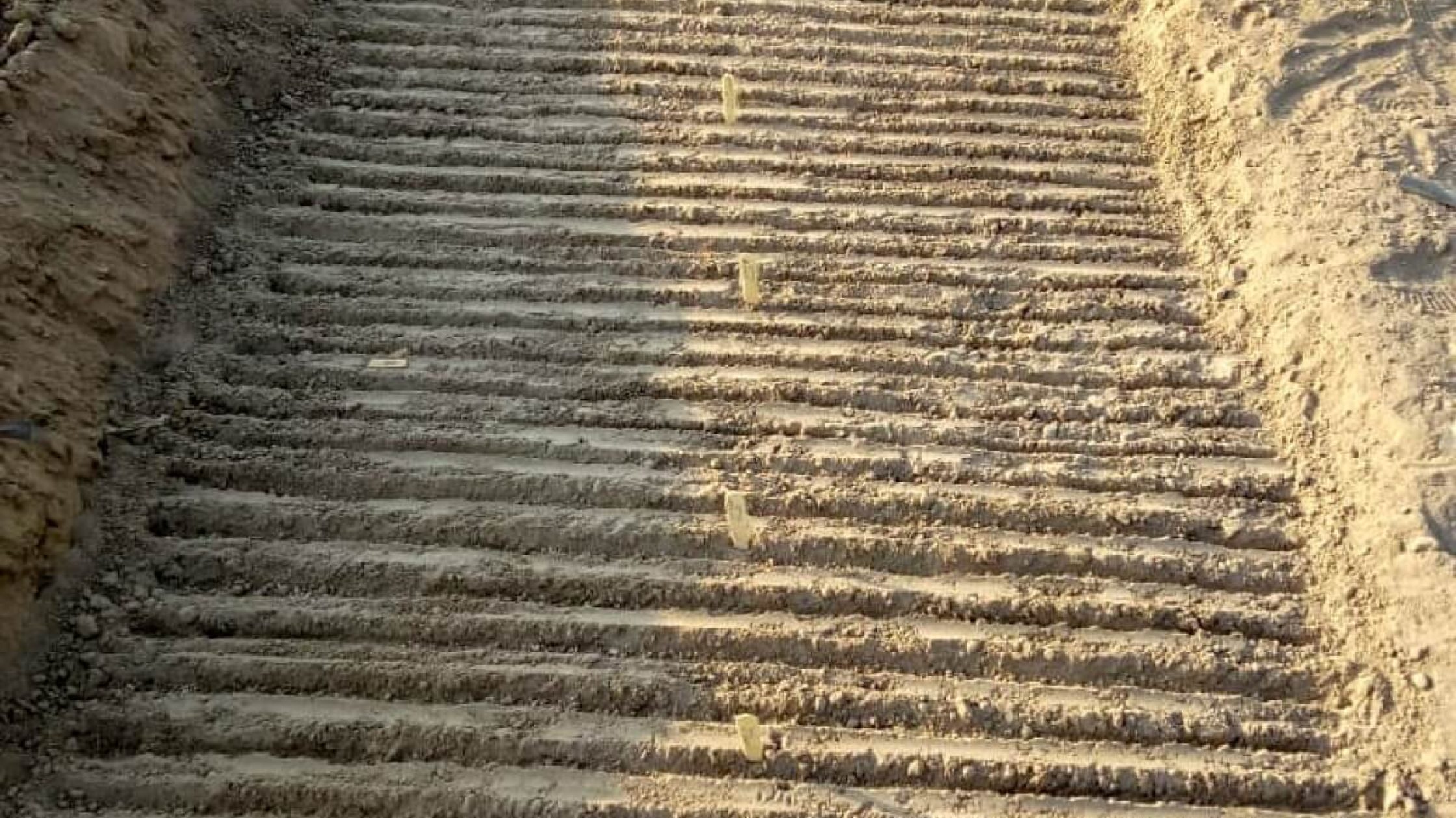 How to Make a Vegetable Nursery Bed (1) How to Make a Vegetable Nursery Bed (1)