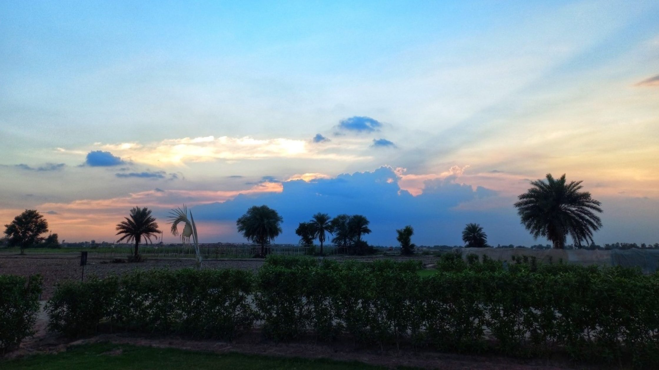 IMG-20240514-WA0063 IMG-20240514-WA0063