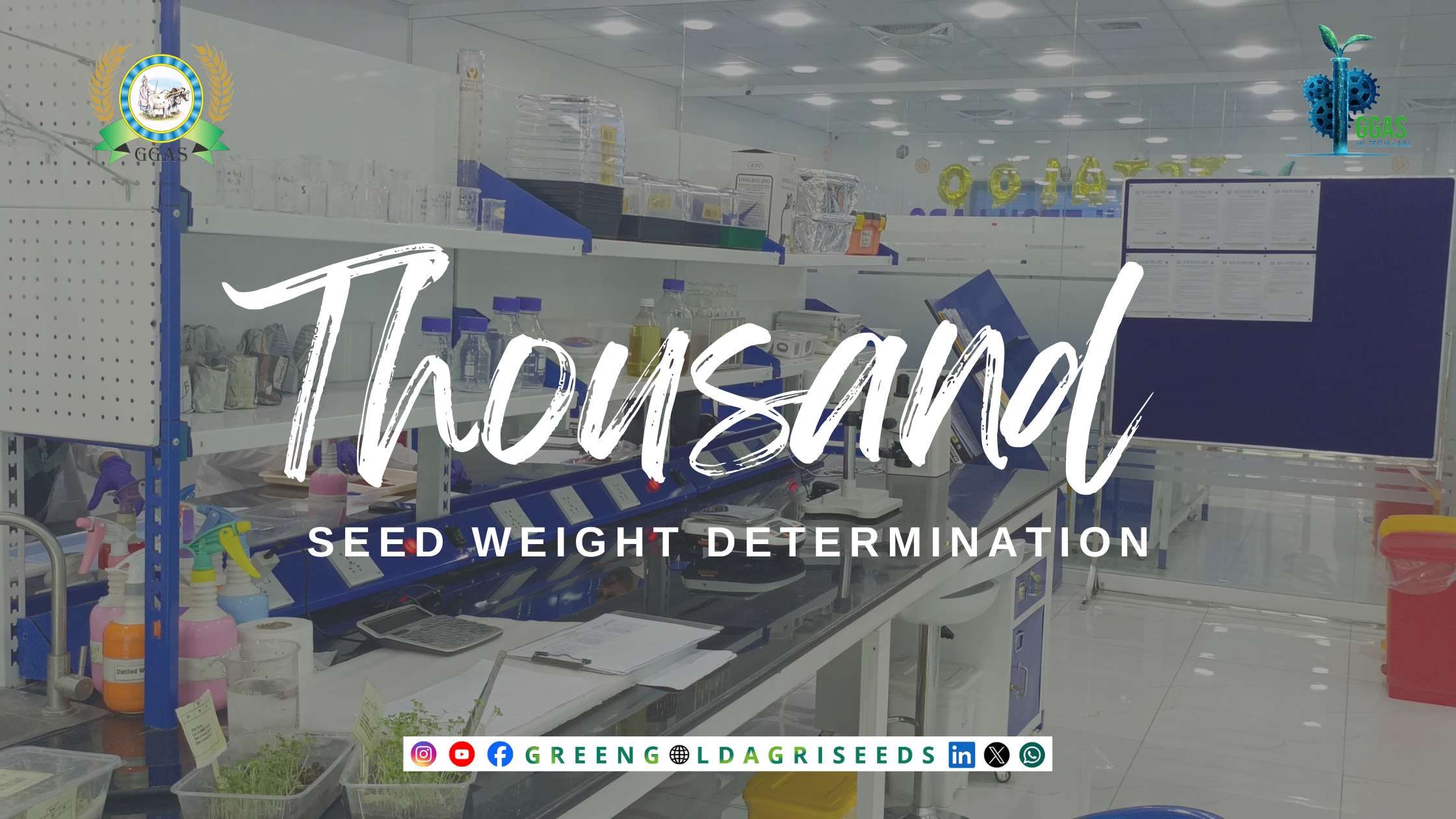Seed Weight Determination Seed Weight Determination