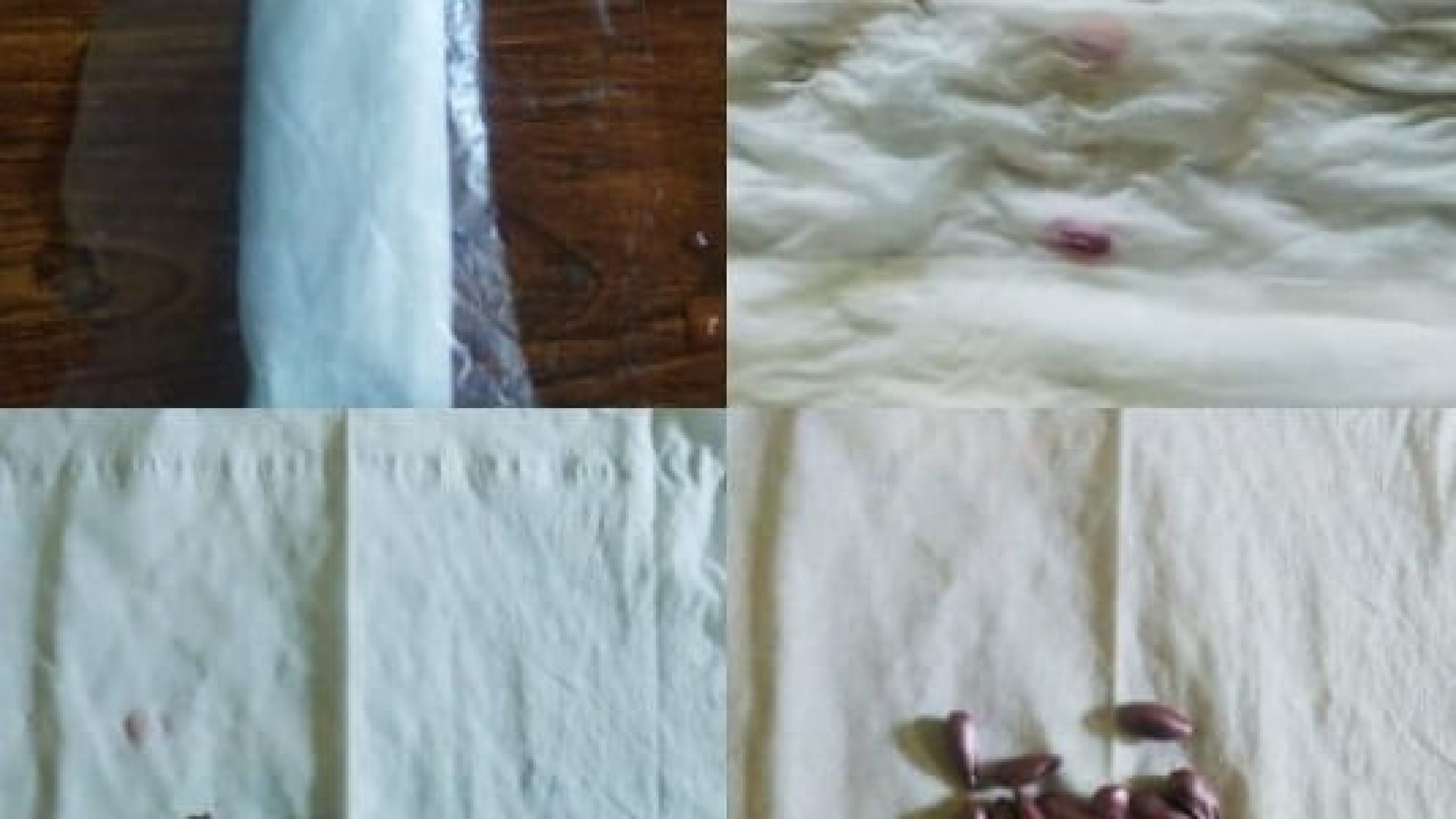 blog1606204336 (1) blog1606204336 (1)