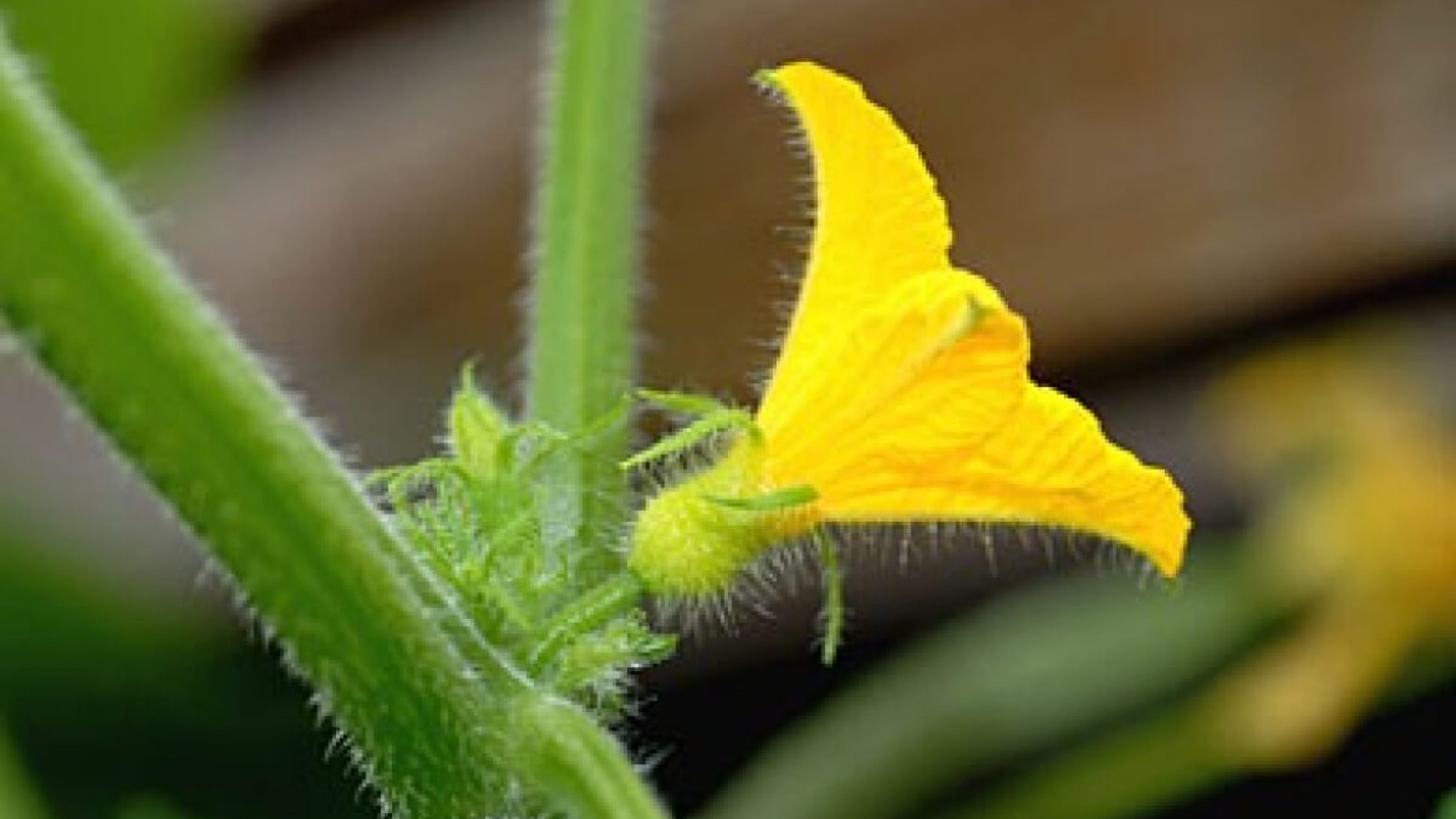 blog1635852409 (1) blog1635852409 (1)