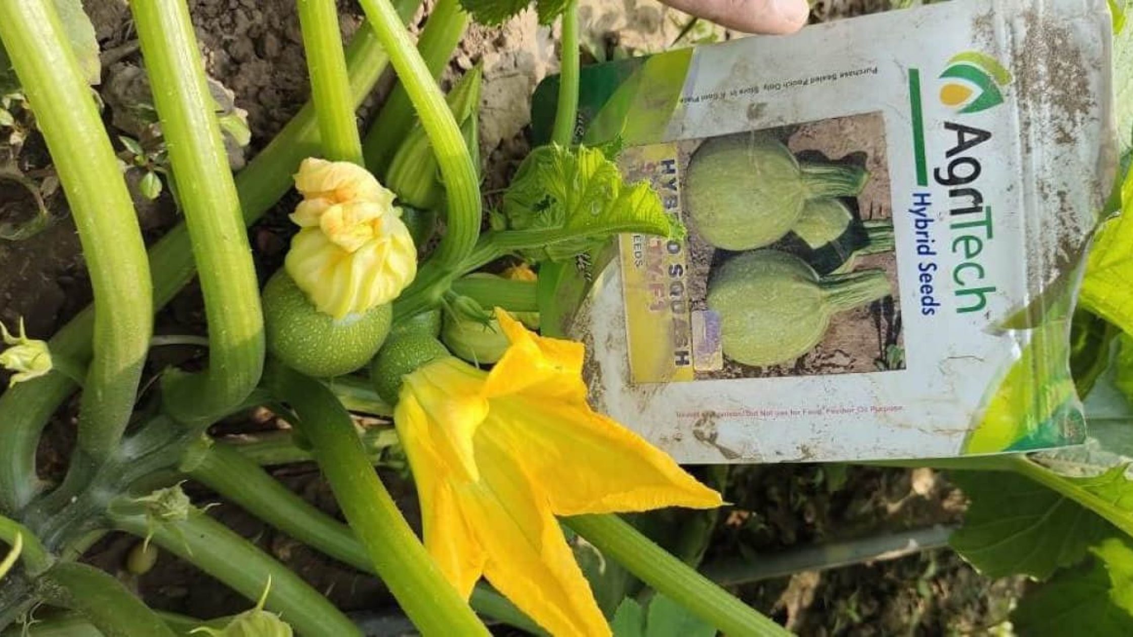 blog1636537106 (1) blog1636537106 (1)