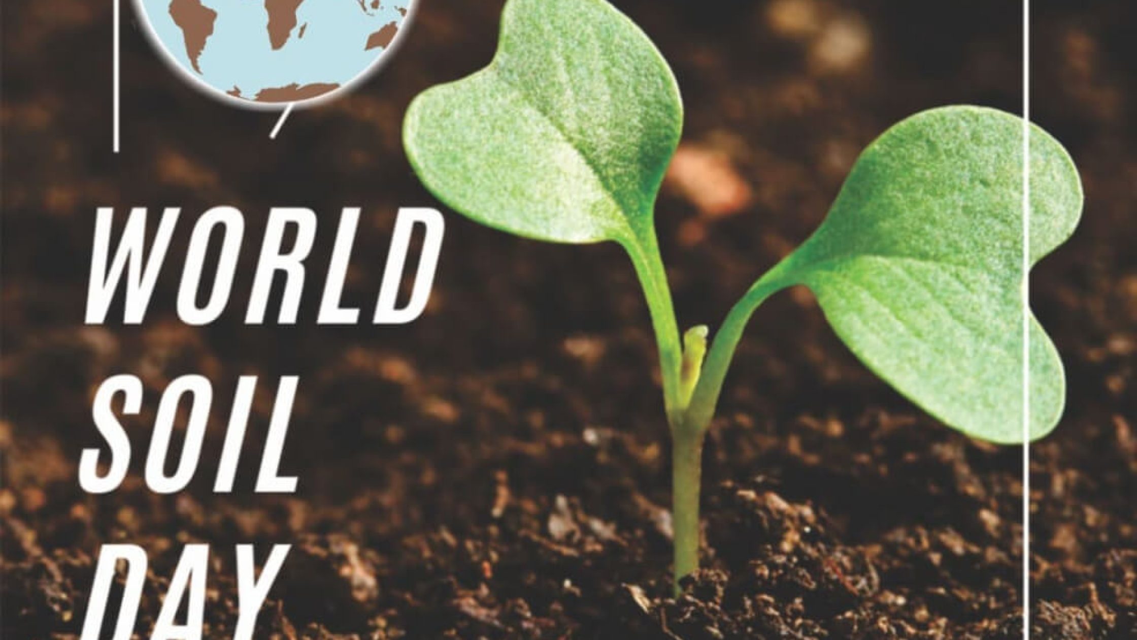 blog1638705722 (1) blog1638705722 (1)