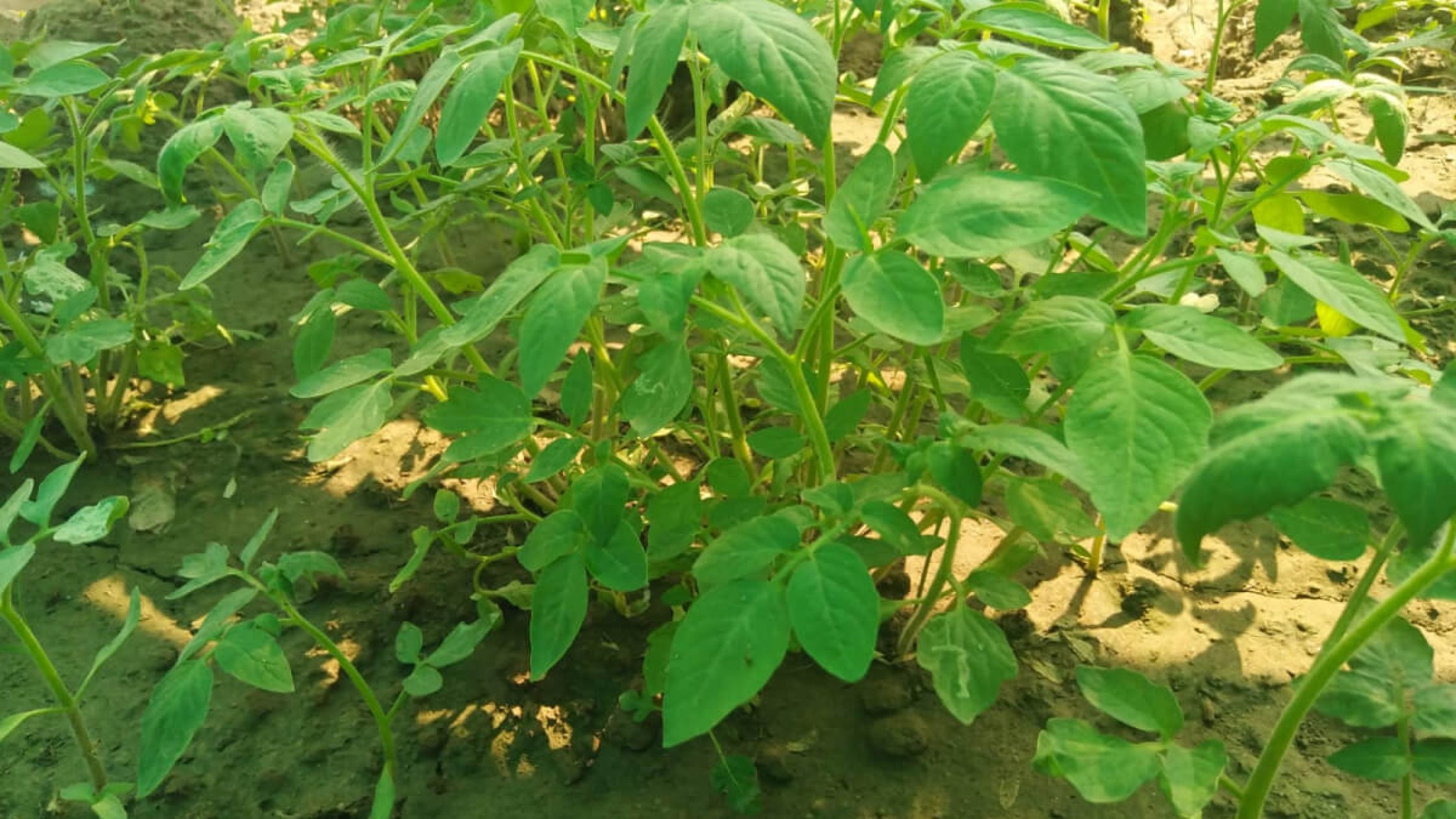 blog1641123834 (1) blog1641123834 (1)