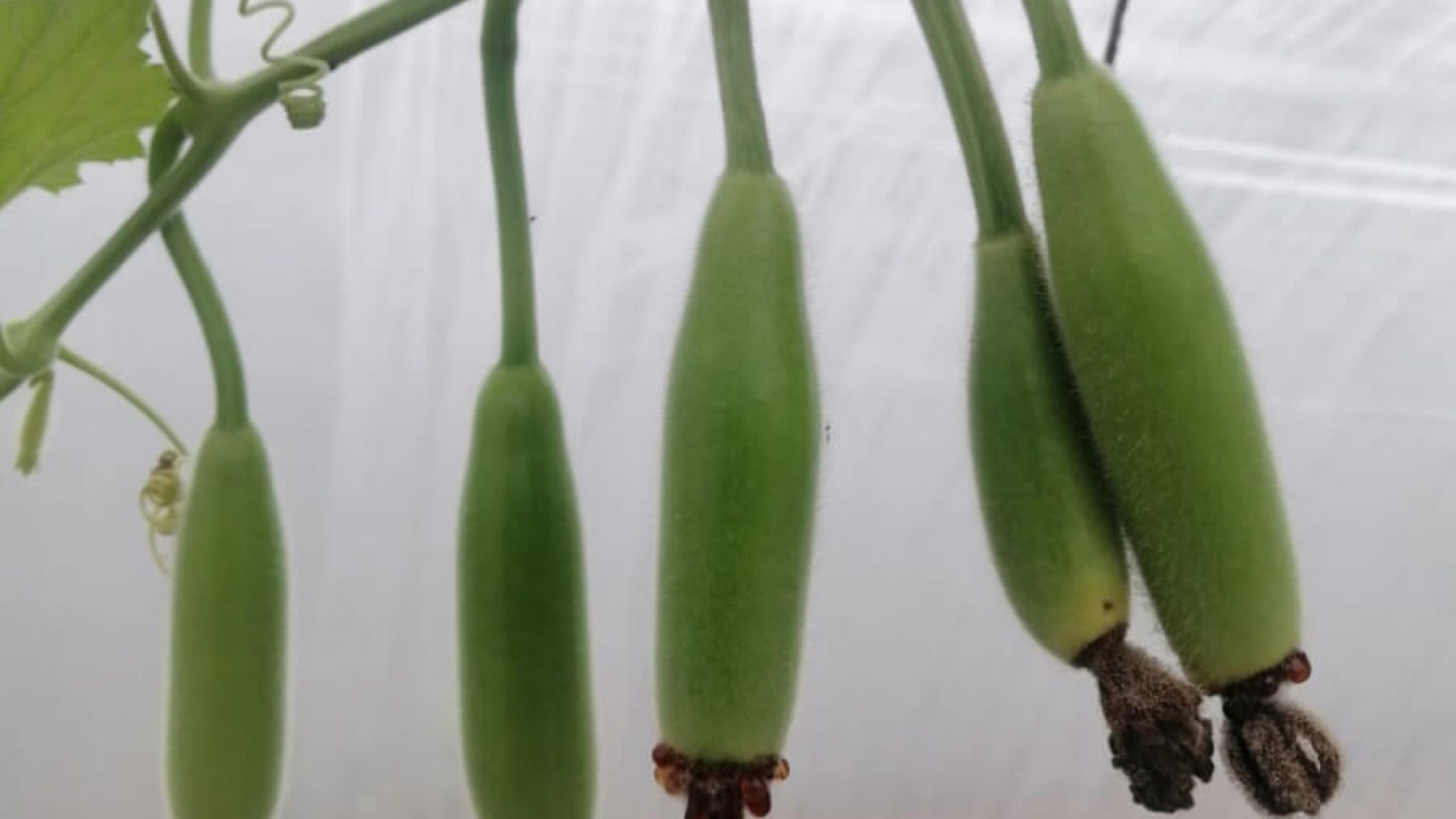 blog1642655253 (1) blog1642655253 (1)