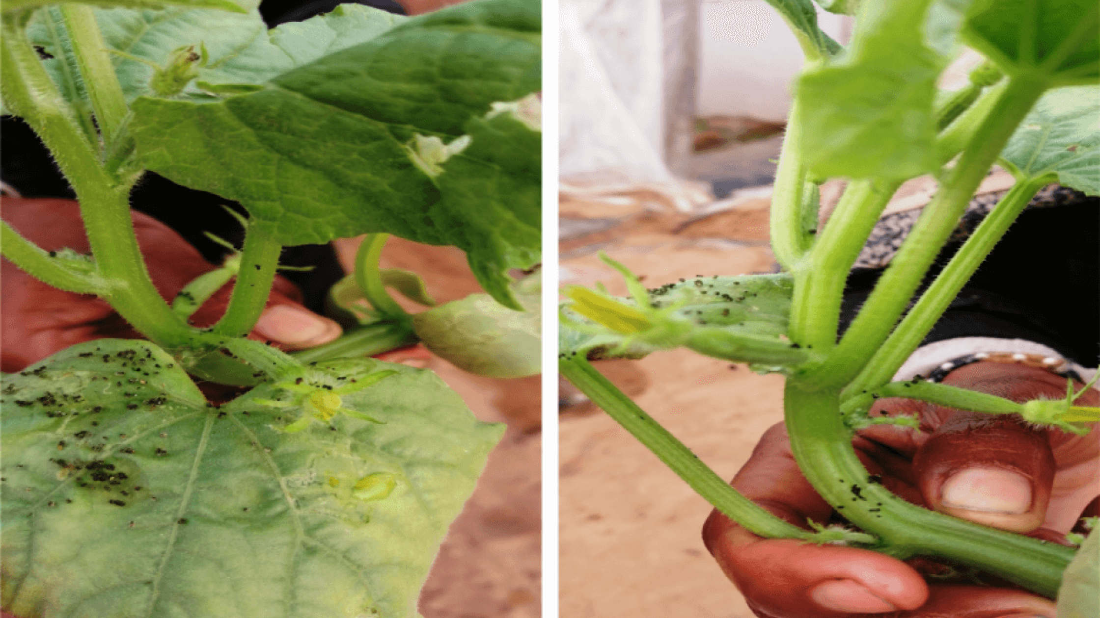 blog1646467353 (1) blog1646467353 (1)