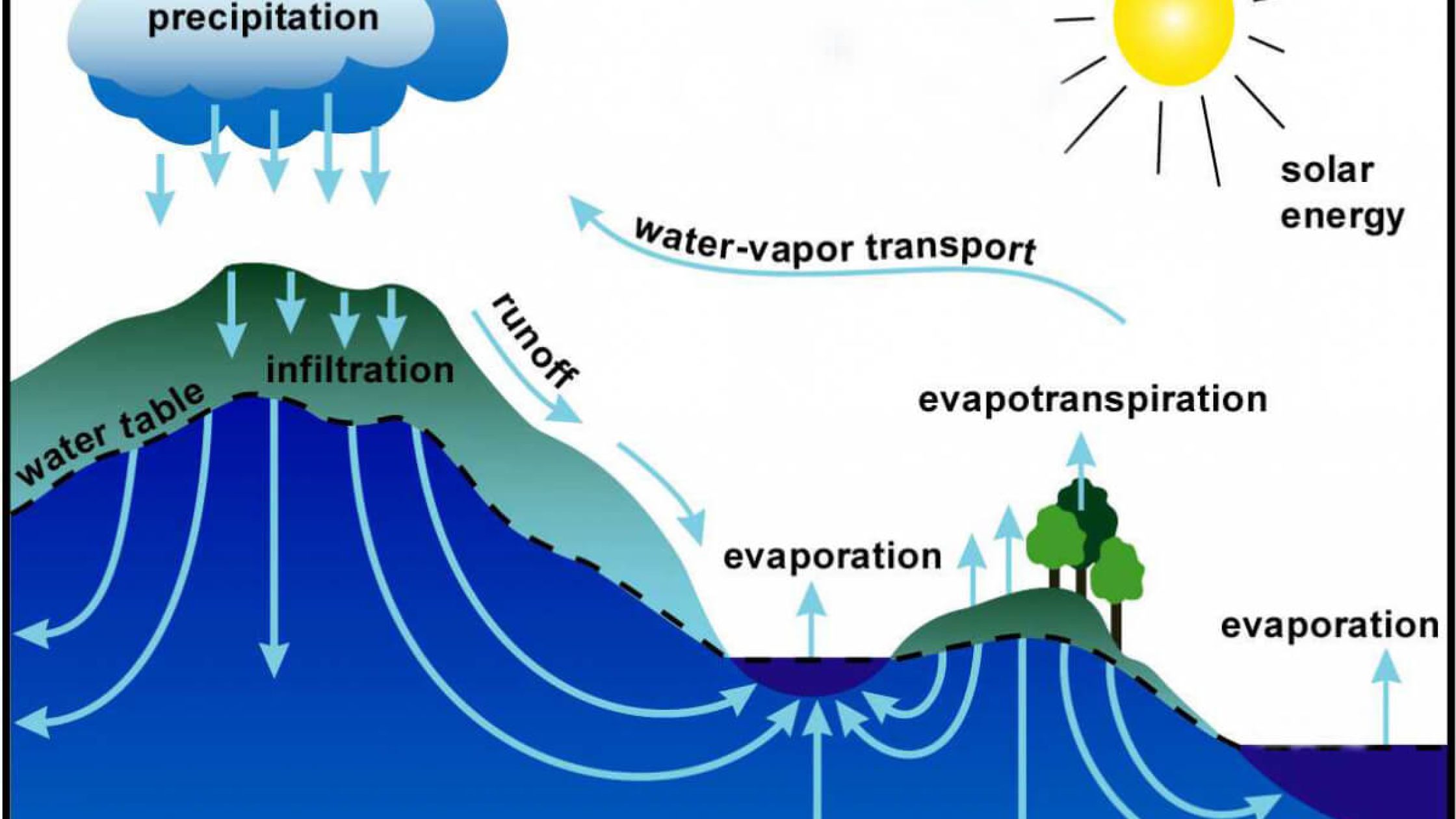 blog1655815268 (1) blog1655815268 (1)