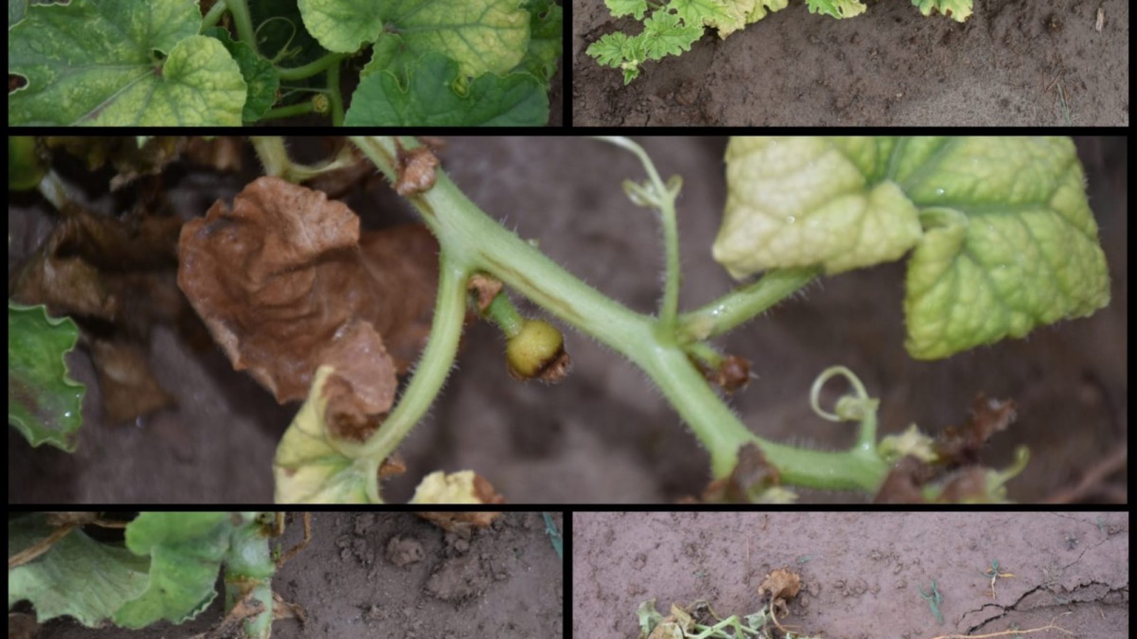 blog1658053044 blog1658053044