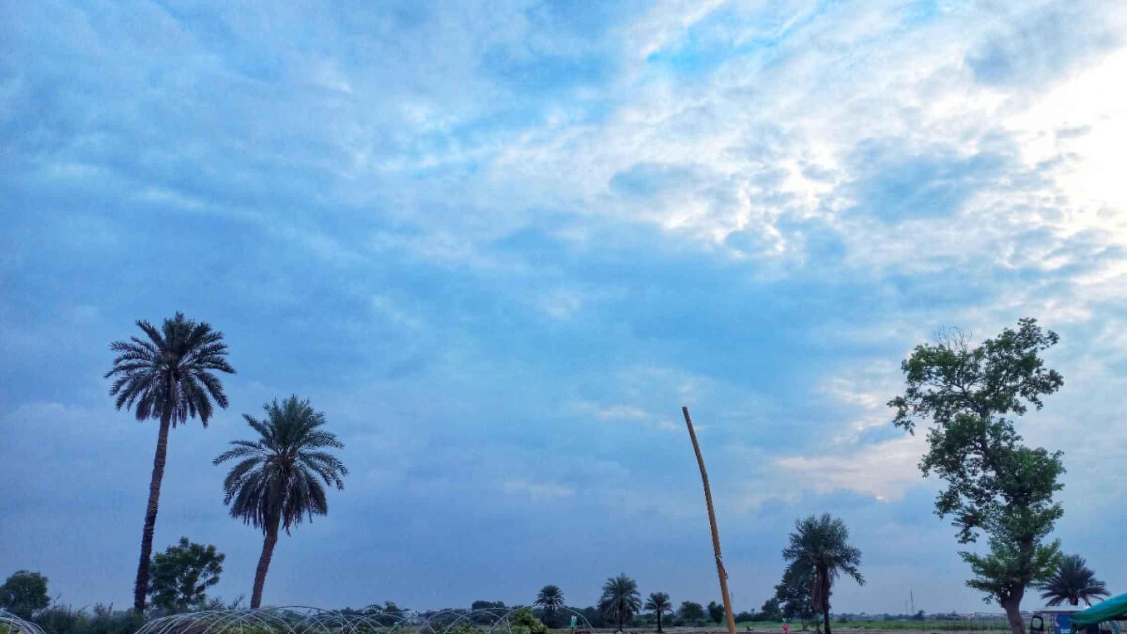 blog1660812675 (1) blog1660812675 (1)