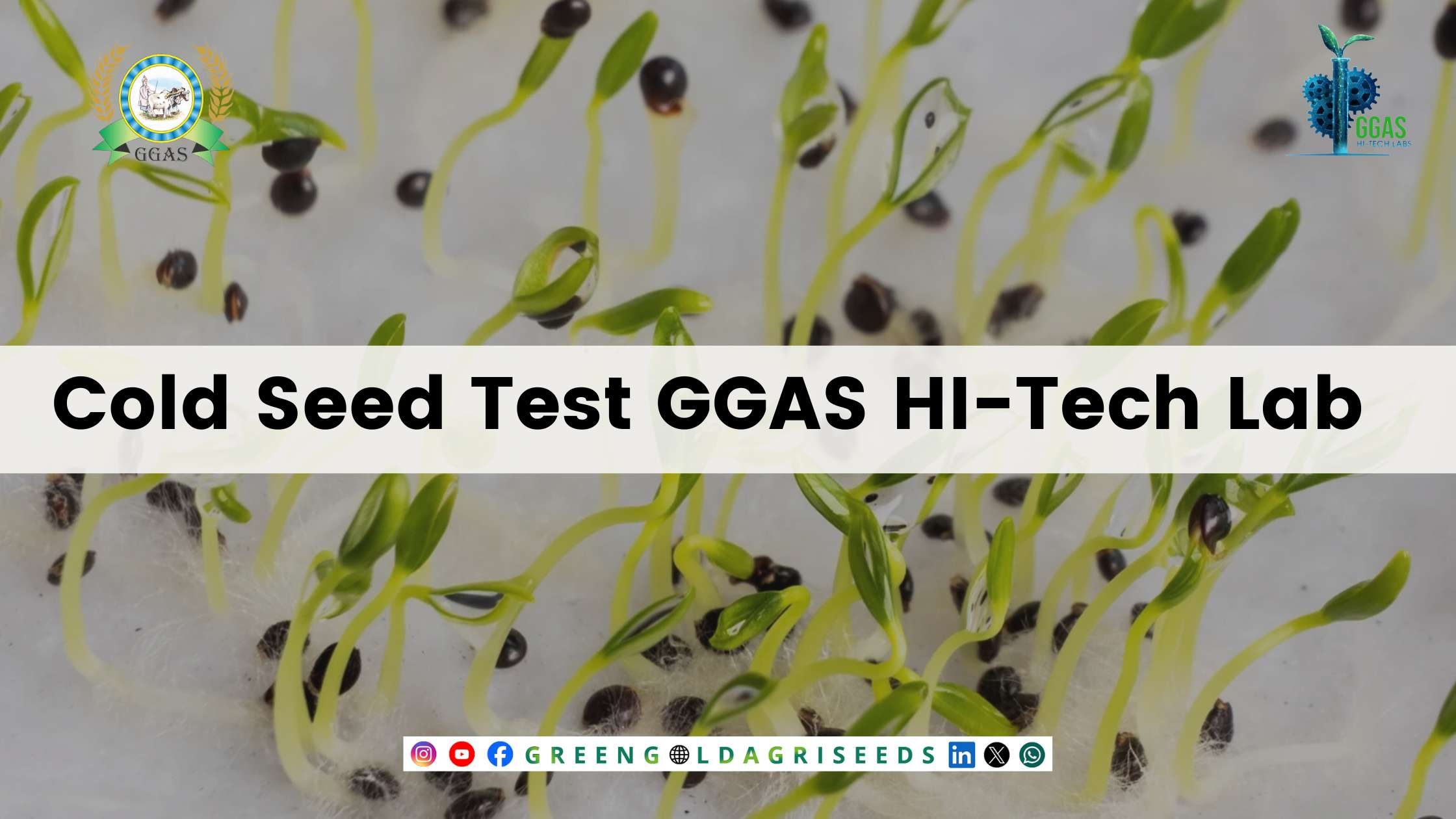 compressed_image compressed_image