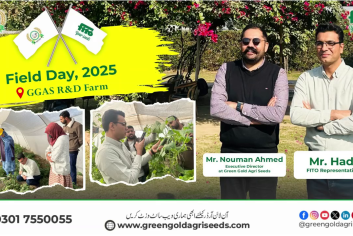 vlcsnap-2026-01-10-11h52m44s060